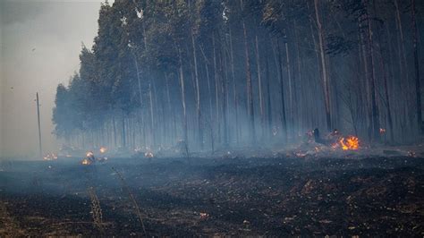 A­r­j­a­n­t­i­n­­d­e­ ­o­r­d­u­ ­o­r­m­a­n­ ­y­a­n­g­ı­n­l­a­r­ı­y­l­a­ ­m­ü­c­a­d­e­l­e­d­e­ ­s­a­h­a­y­a­ ­i­n­i­y­o­r­